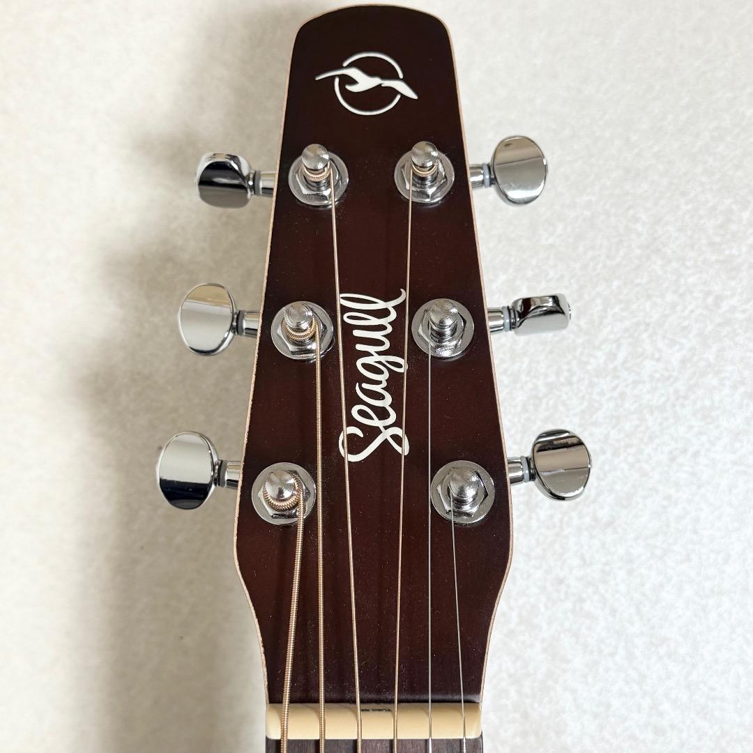 ギター Seagull Entourage Autumn Burst Acoustic