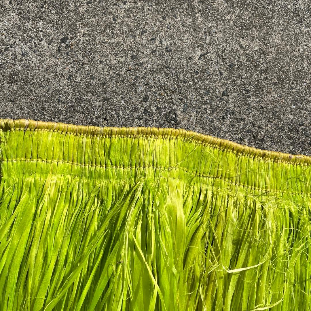 ライトグリーン　モレ