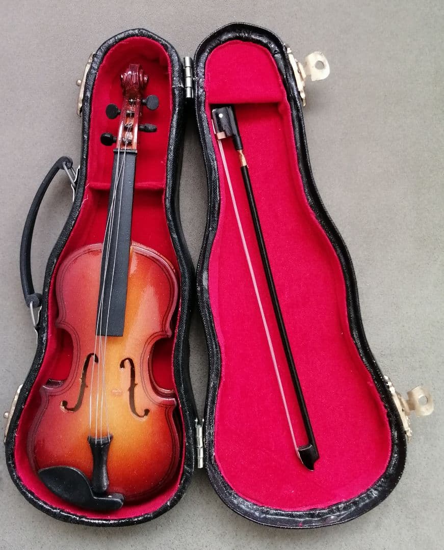 バイオリン ケース付き