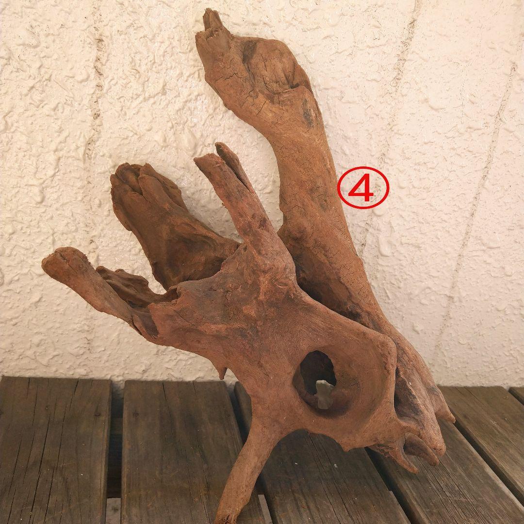 アクアリウム用品　レイアウト 良型 流木 Ｌサイズ　７本セット