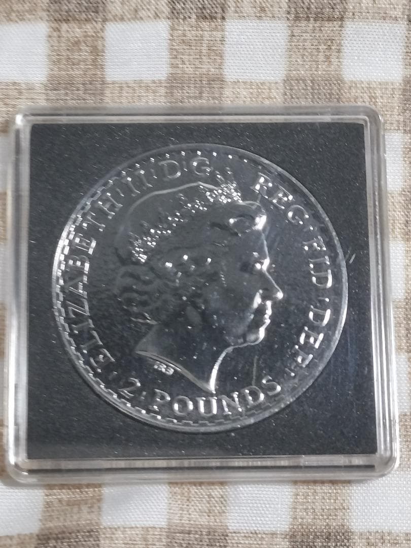 2015年 ゴールデンエニグマ 1oz 999ファインシルバー　ルテニウム