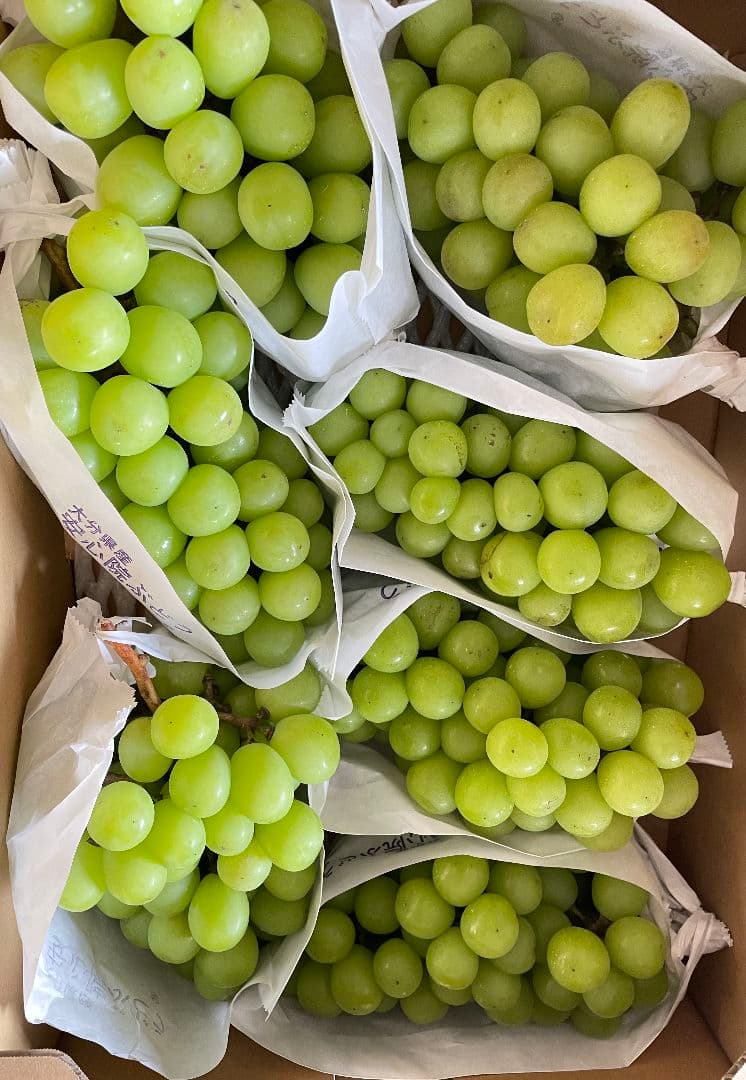 「ゲリラ値下げ」シャインマスカット5kg 期間限定　特別価格　訳あり
