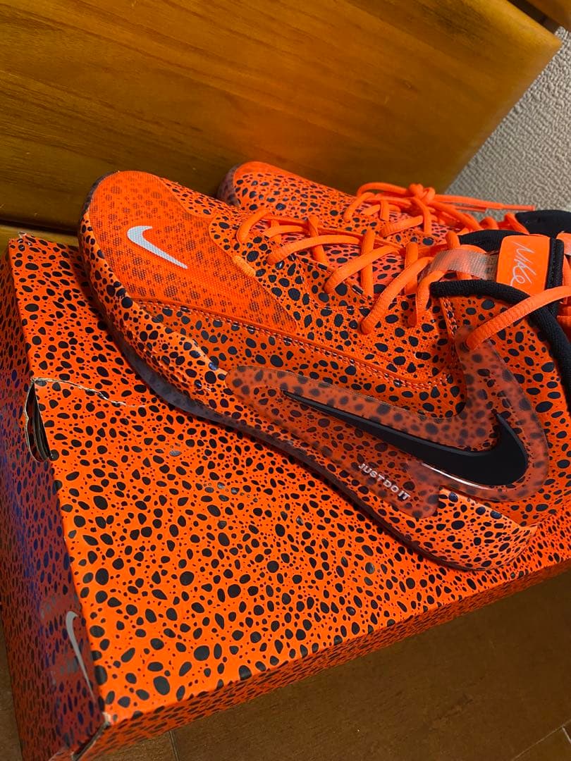 オリンピック限定品Nike バレーボールシューズ　アメリカ代表着用モデル