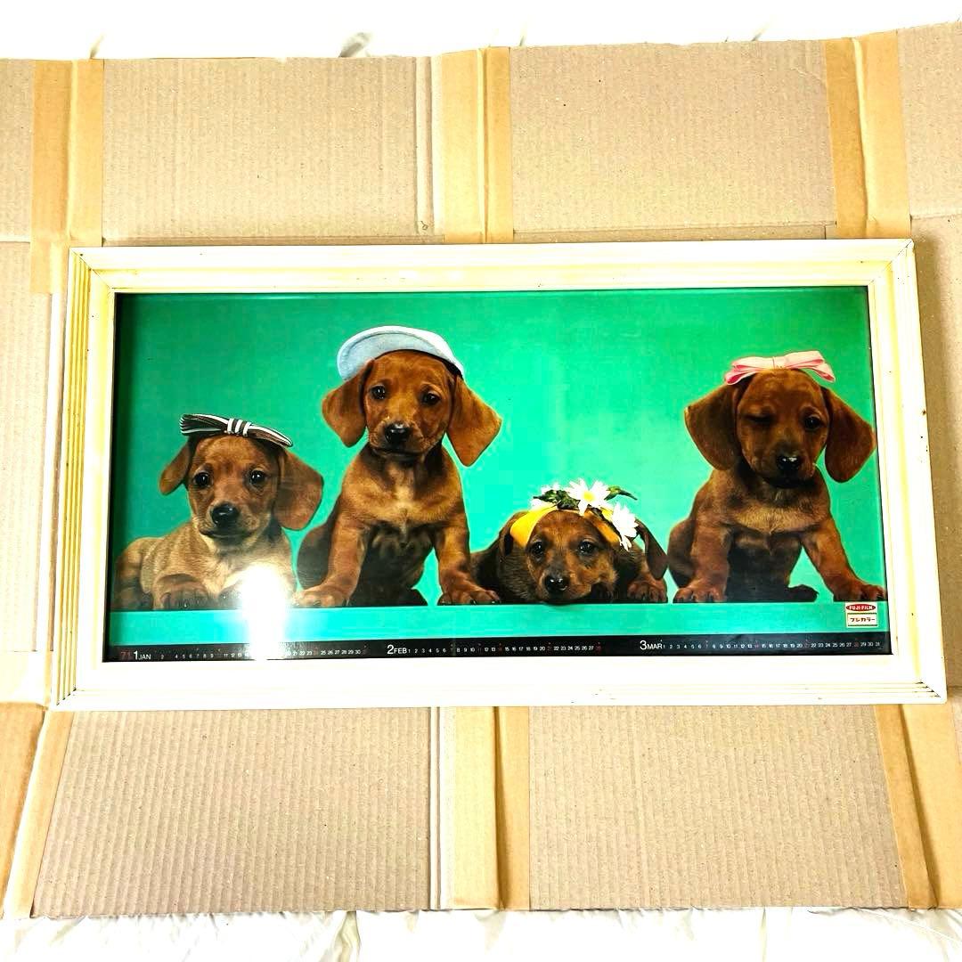 1971年当時物 フジカラー 犬 カレンダー付き 大型パネル 昭和レトロ