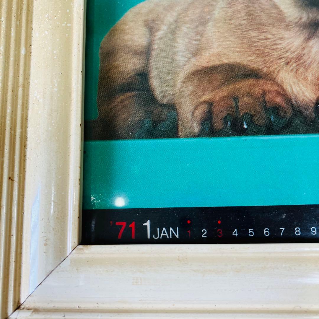 1971年当時物 フジカラー 犬 カレンダー付き 大型パネル 昭和レトロ