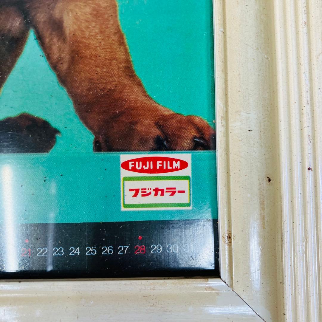 1971年当時物 フジカラー 犬 カレンダー付き 大型パネル 昭和レトロ