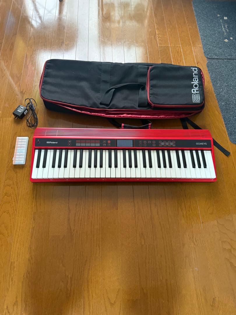 Roland GO KEYS 61 専用ケース付き