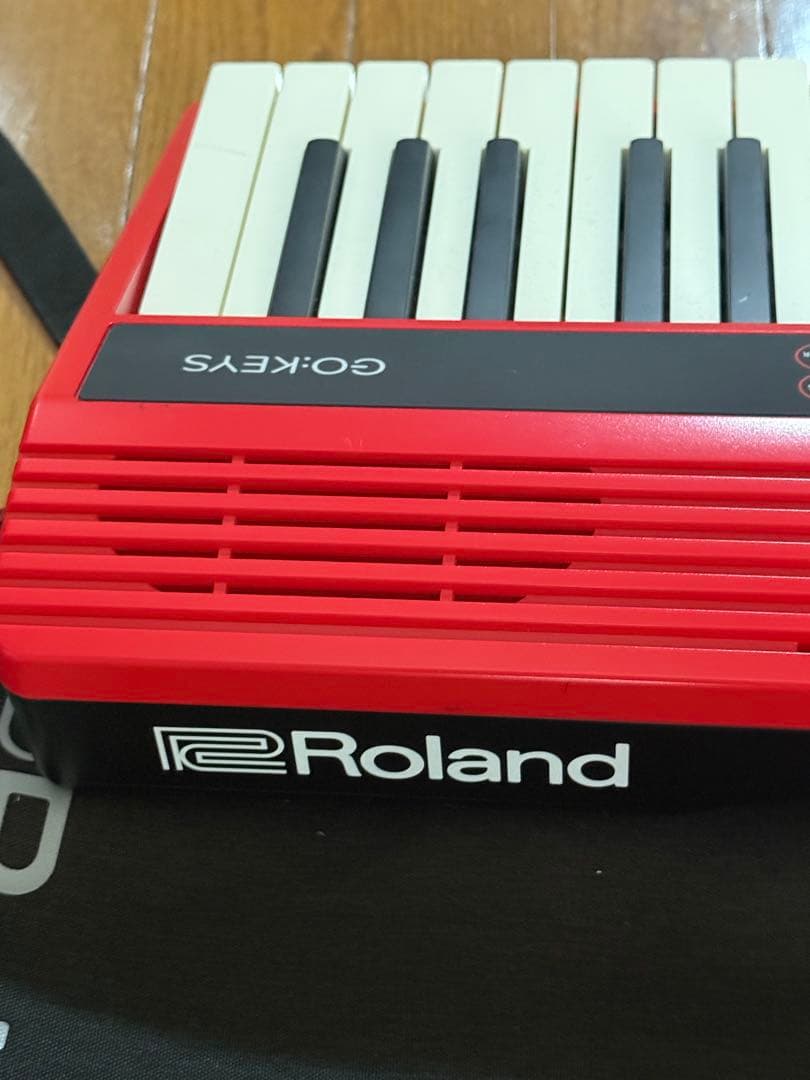 Roland GO KEYS 61 専用ケース付き
