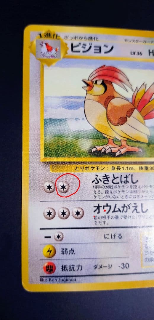 【星エラー有】【初版】ポケモンカード 旧裏 No.017 ピジョン LV.36