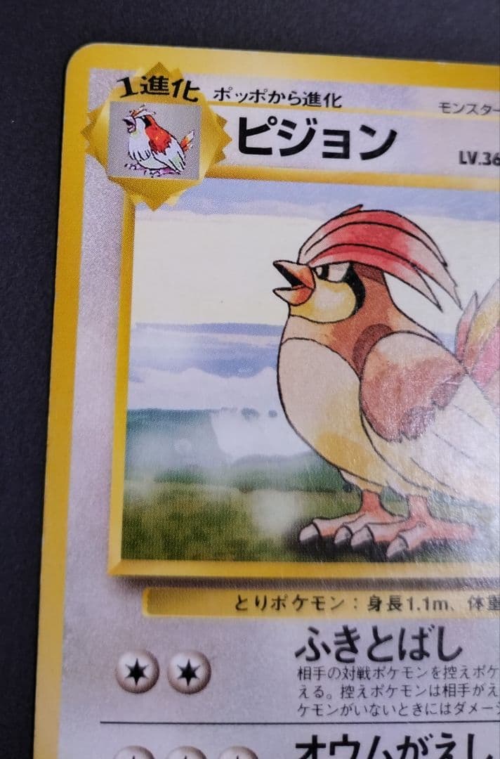 【星エラー有】【初版】ポケモンカード 旧裏 No.017 ピジョン LV.36