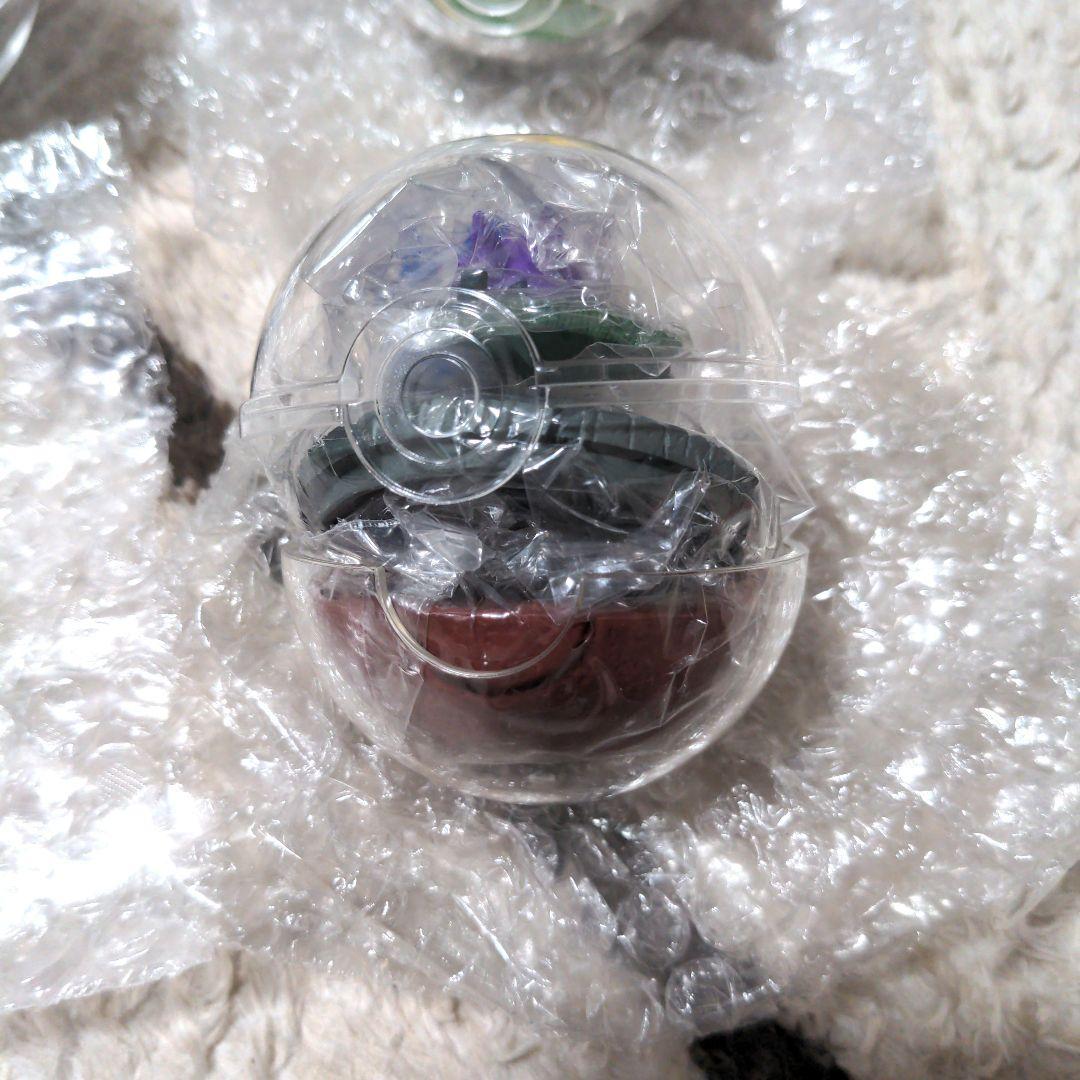 【匿名配送】 ポケモン テラリウムコレクション まとめ売り