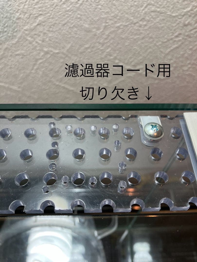 アクアサイダーの45cm水槽 イモリウム テラリウム パルダリウム用