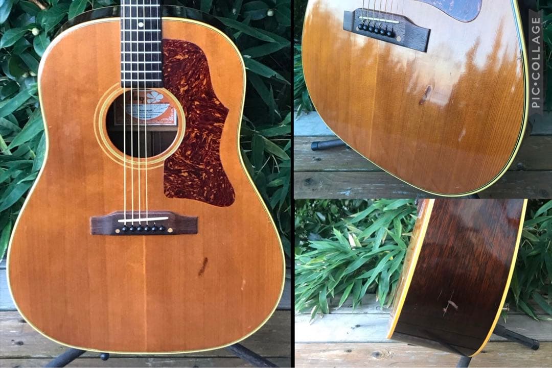 Burny BJ-65N バーニー フェルナンデス