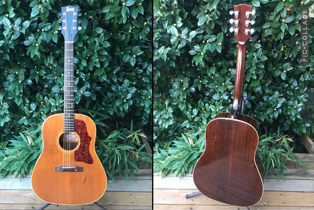 Burny BJ-65N バーニー フェルナンデス