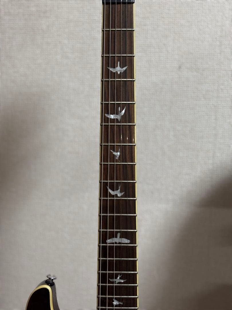 PRS SE Custom24 Ziricote Top 限定モデル