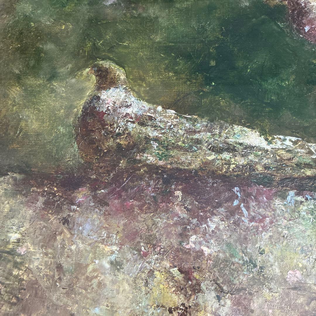 須田寿 油彩画 F8号「石の上」