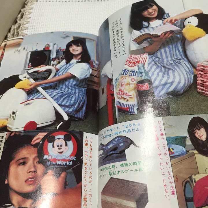 中森明菜 メヌエットとブロマイド