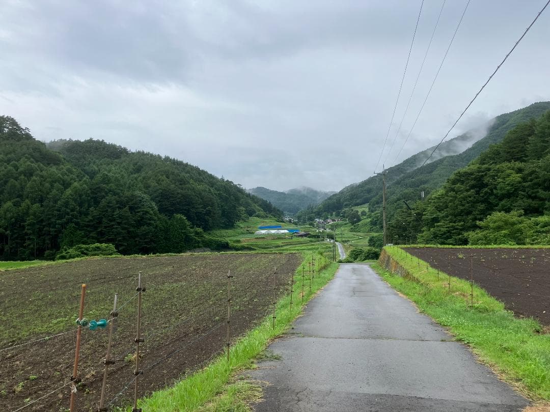 【再出】アカシア蜂蜜 1000g 2本 長野県産 国産蜂蜜 生蜂蜜 西洋蜜蜂a