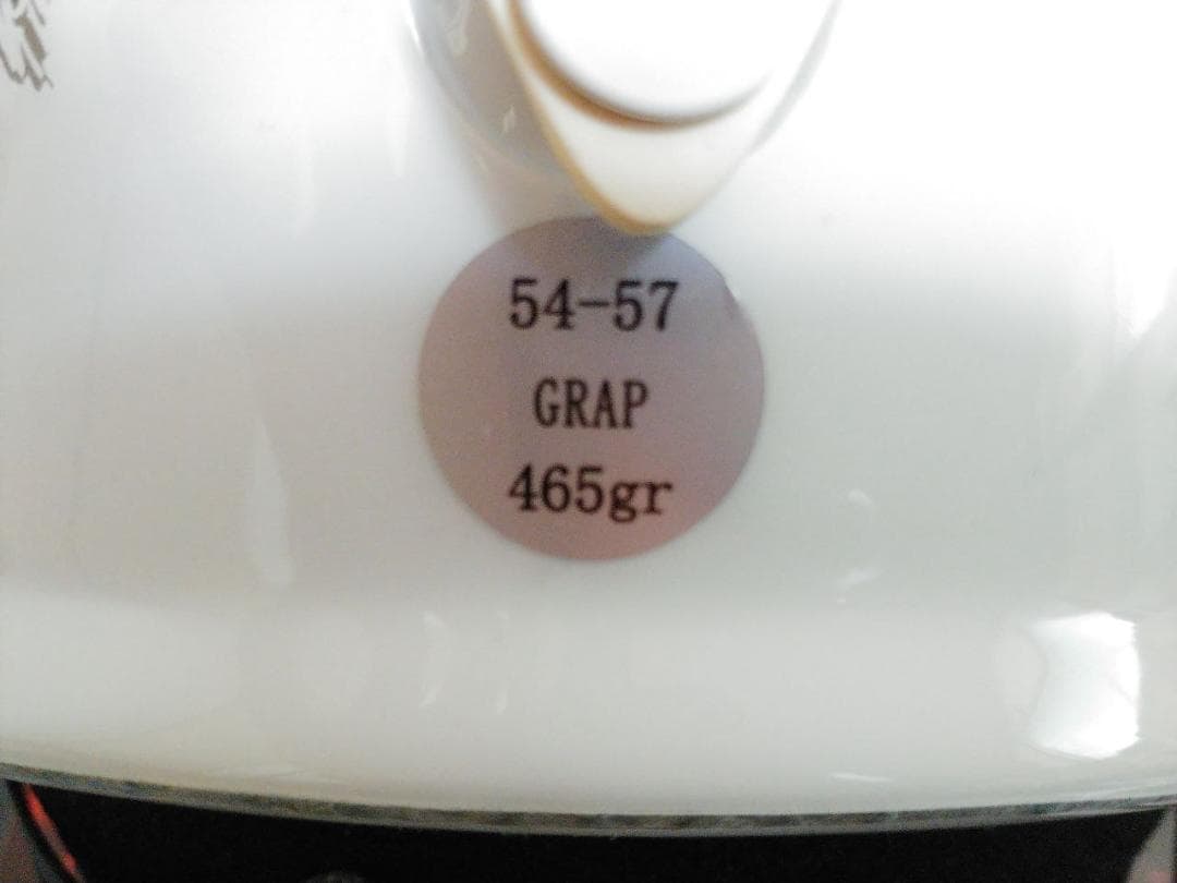 ALPINA ホワイト スキー・スノーボードヘルメット