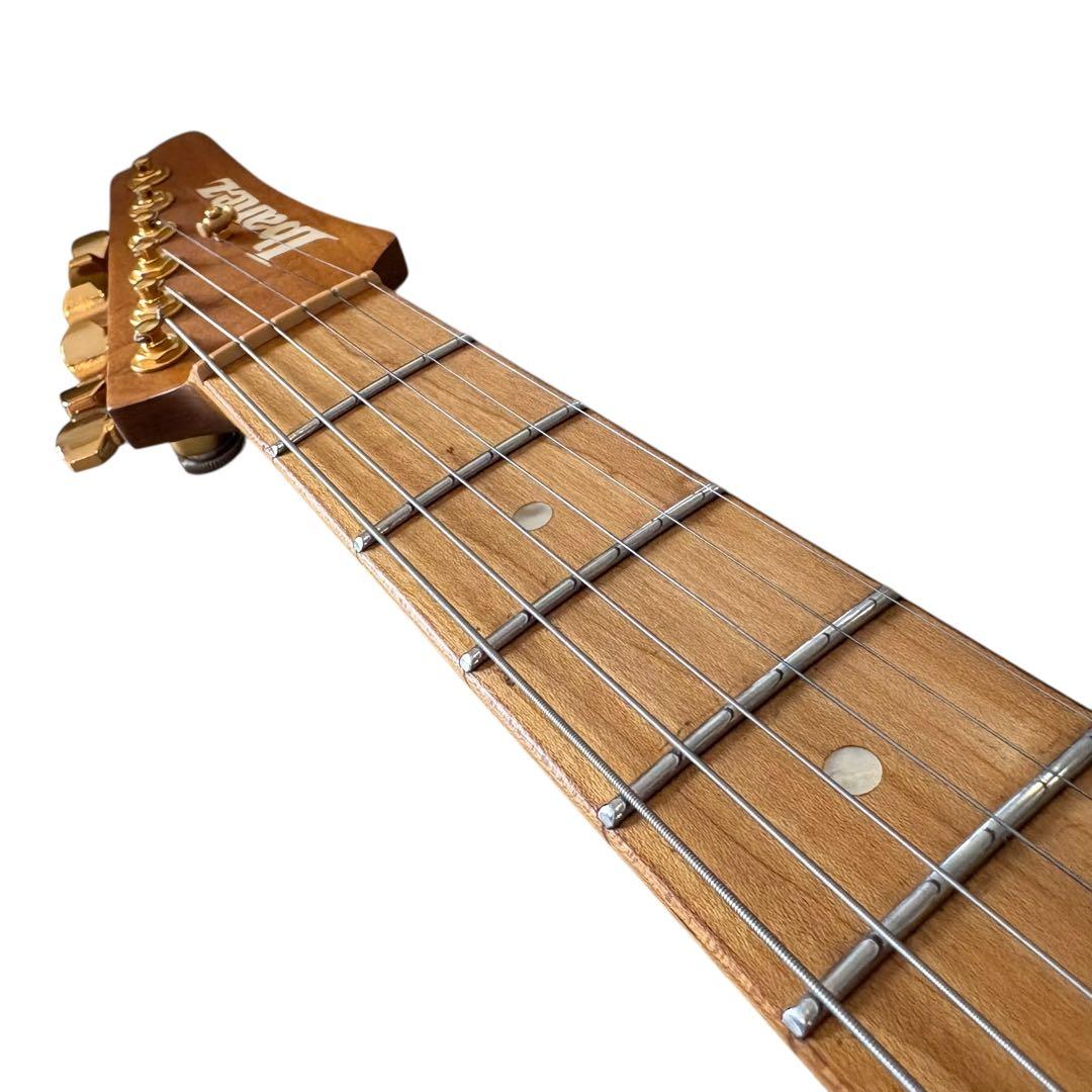 Ibanez SLM10 1P-01 AZシリーズ スコットモデル エレキギター