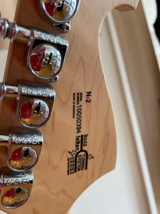 ギター Washburn  N-2