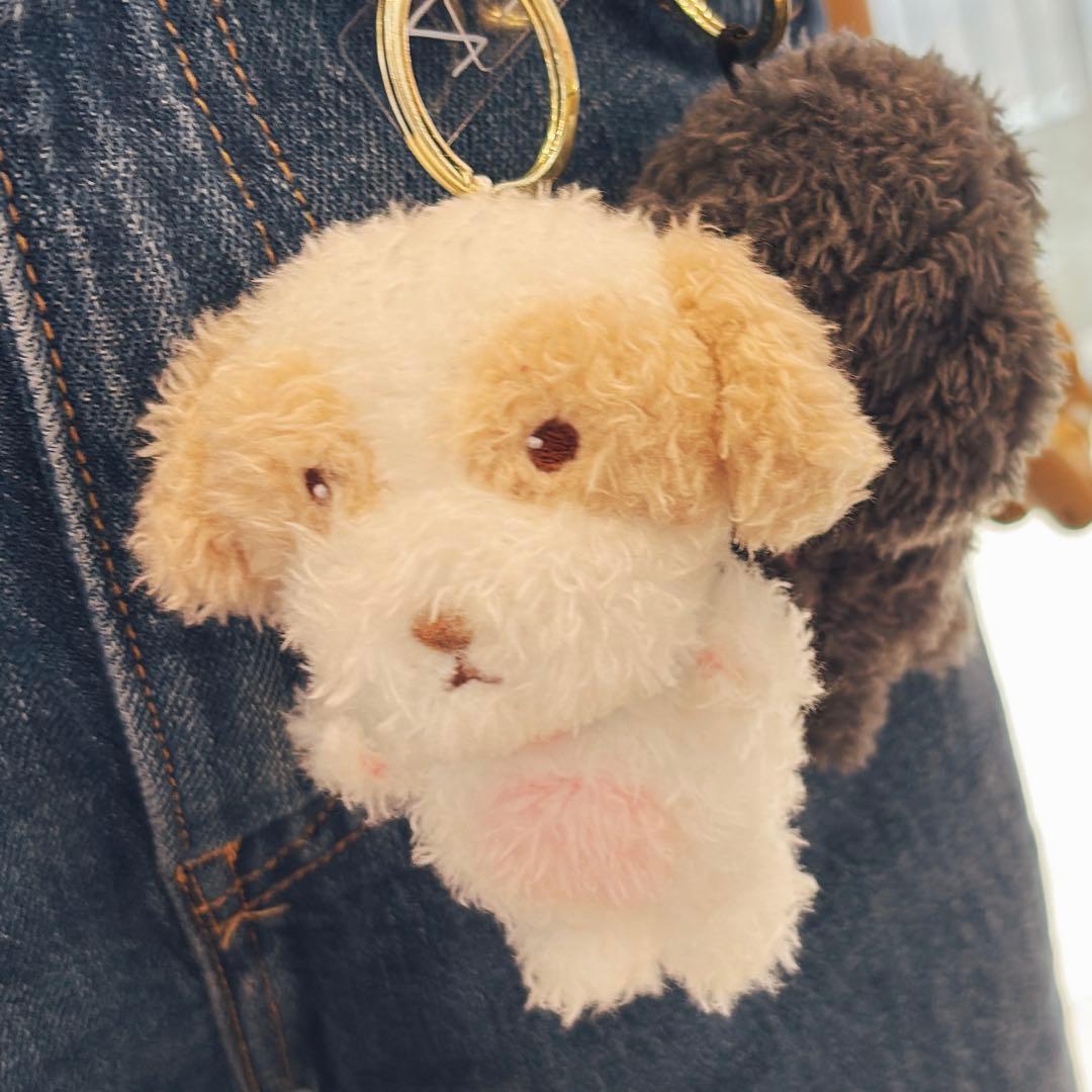 チャニョル チャル キーホルダー