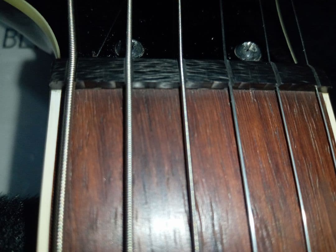 FERNANDES TEJ DELUXE 2S　純正ハードケース付き