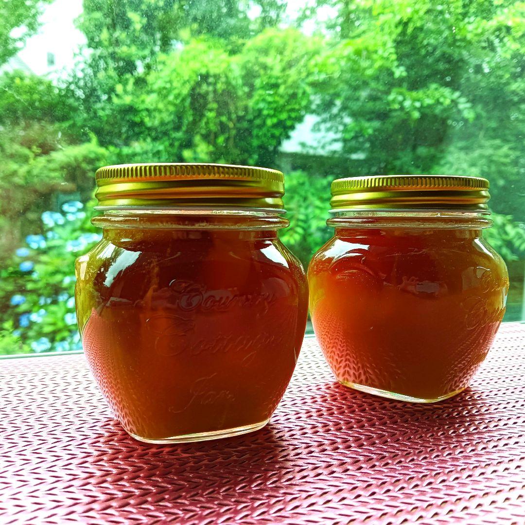 日本蜜蜂はちみつ採れたて880g垂れ蜜