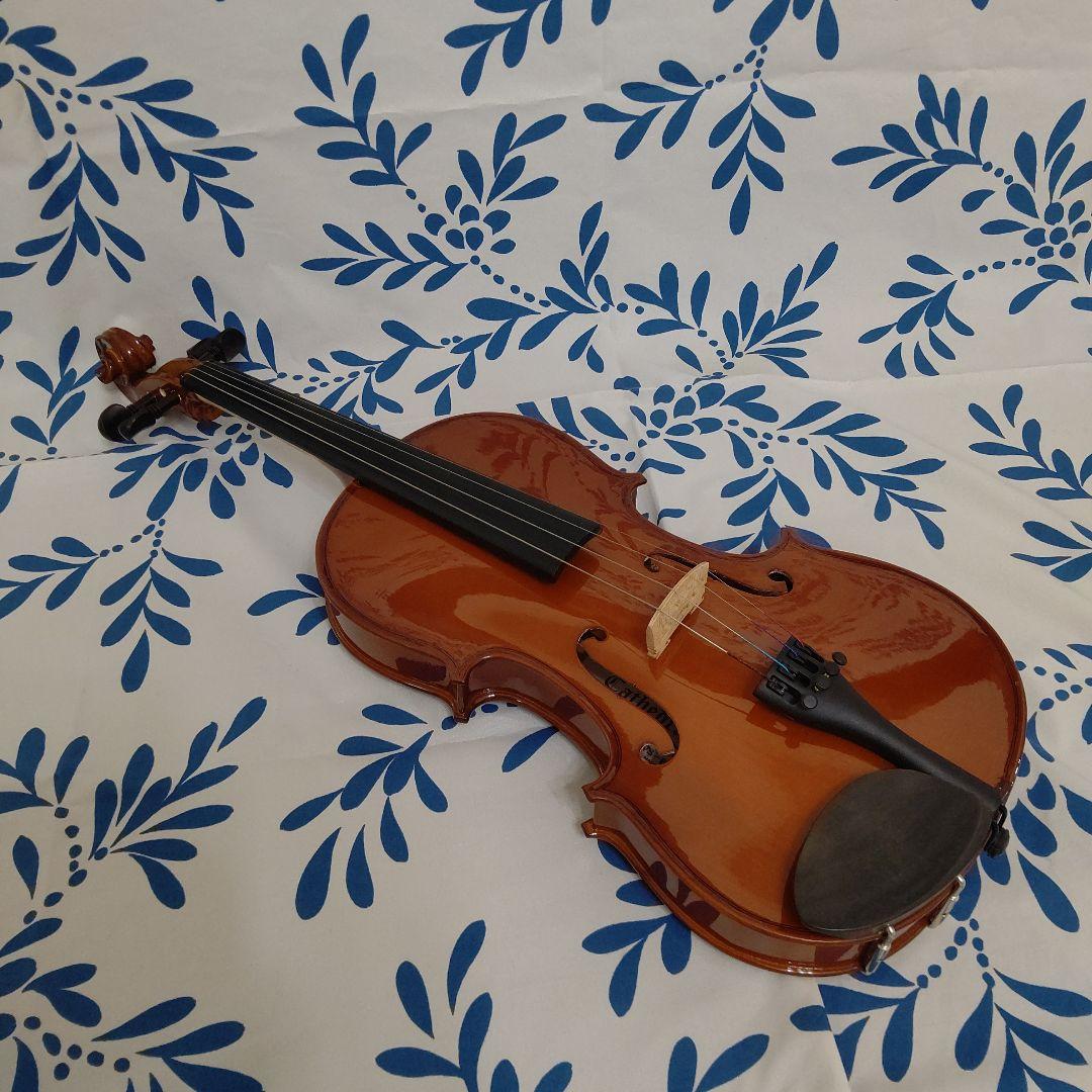 n*o様 【バイオリン】Cathedral カテドラル