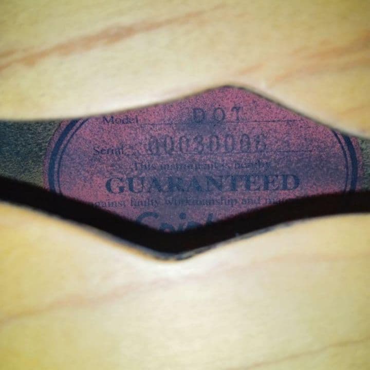 ギブソン エピフォン dot guaranteed