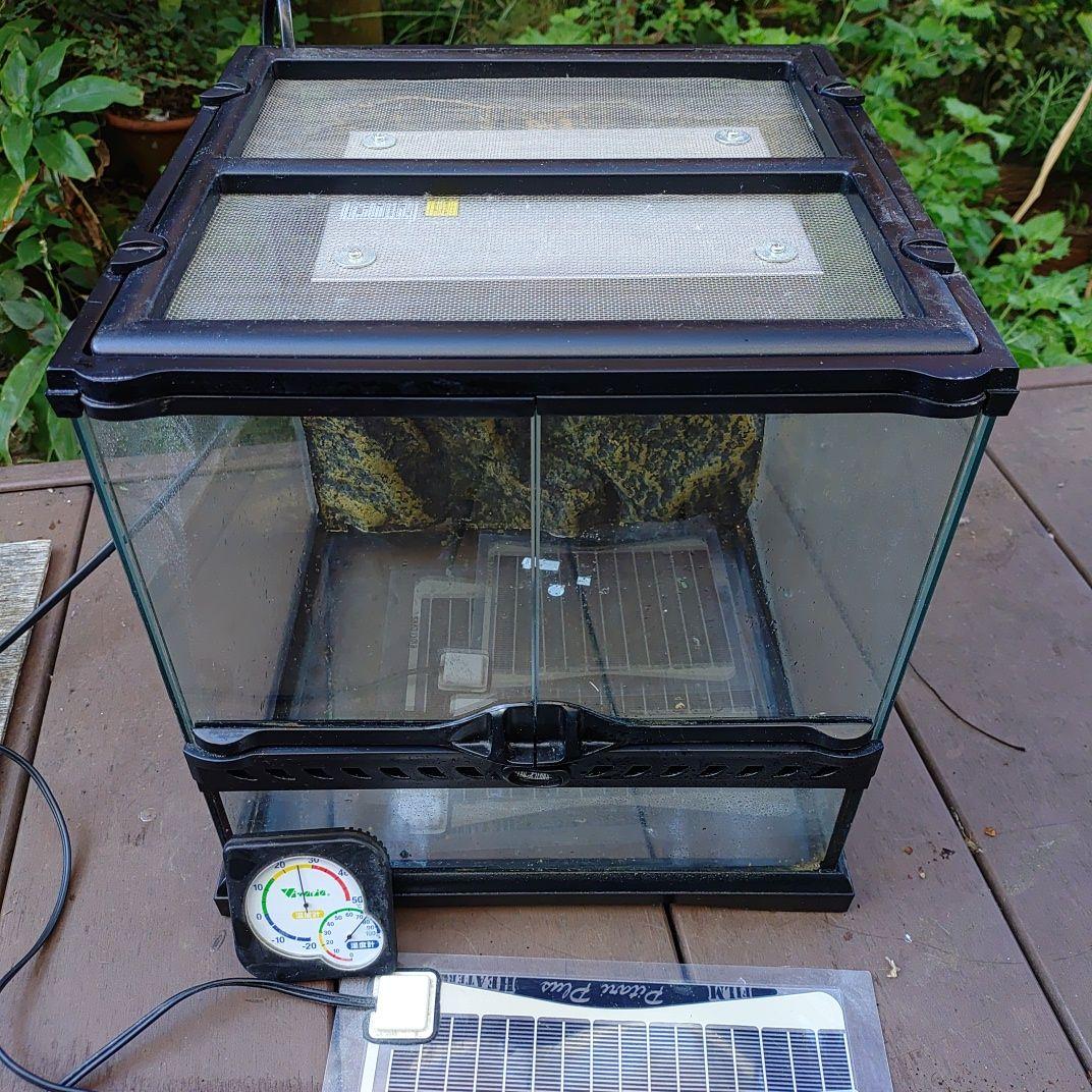 中型ガラス飼育ケージ + 加熱パネル