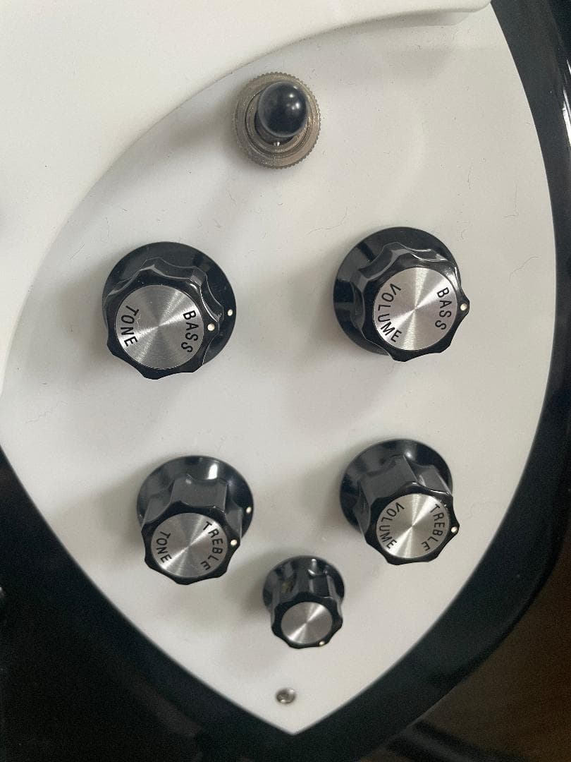 ギター Rickenbacker 360 JG