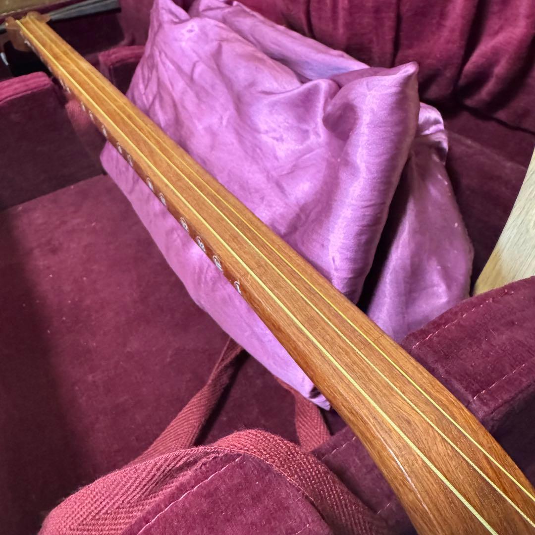 初心者オススメ　中棹　三味線　セット　撥　胴かけ　駒　ハードケース　花梨　丸打胴