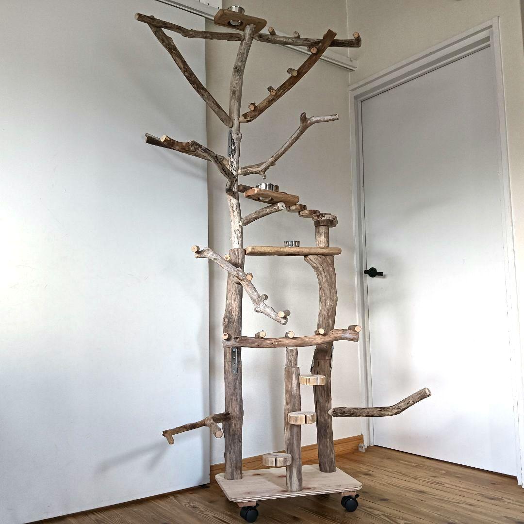 びぐ バードアスレチックジム大型 天然木 自然木 流木 インコ おもちゃ