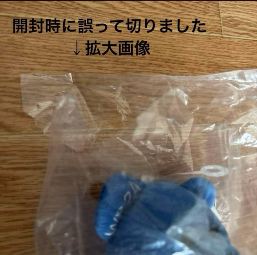 大谷翔平 50/50 チームビーンズ刺繍入 ワールドシリーズ優勝 ベア FOCO