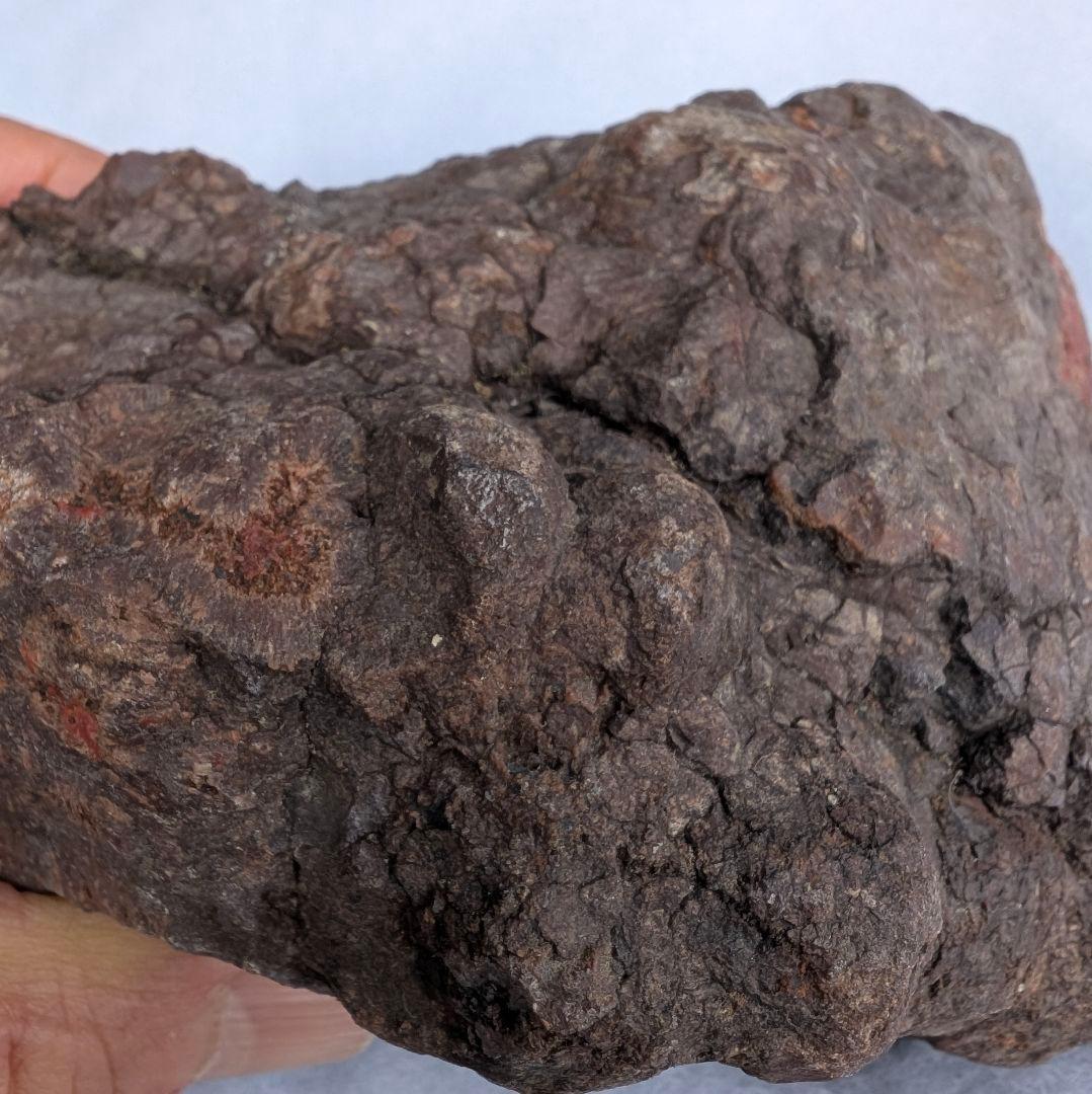 特大　本物　大型肉食恐竜の糞の化石　多彩　メノウ化　標本　1866グラム