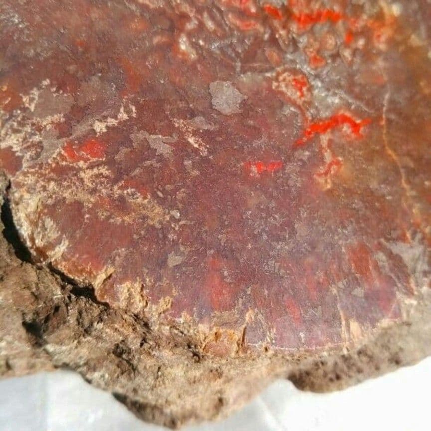 特大　本物　大型肉食恐竜の糞の化石　多彩　メノウ化　標本　1866グラム