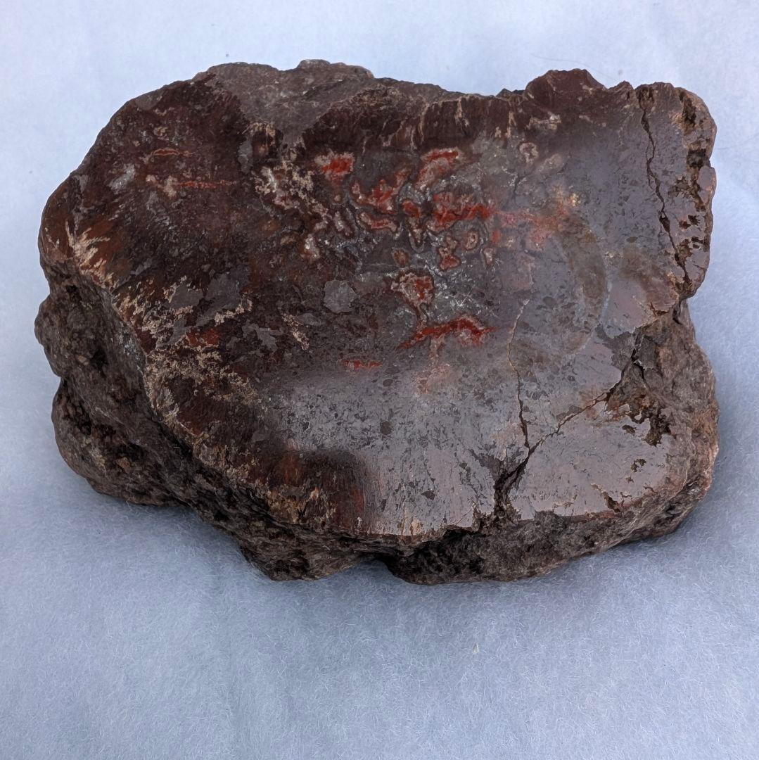 特大　本物　大型肉食恐竜の糞の化石　多彩　メノウ化　標本　1866グラム