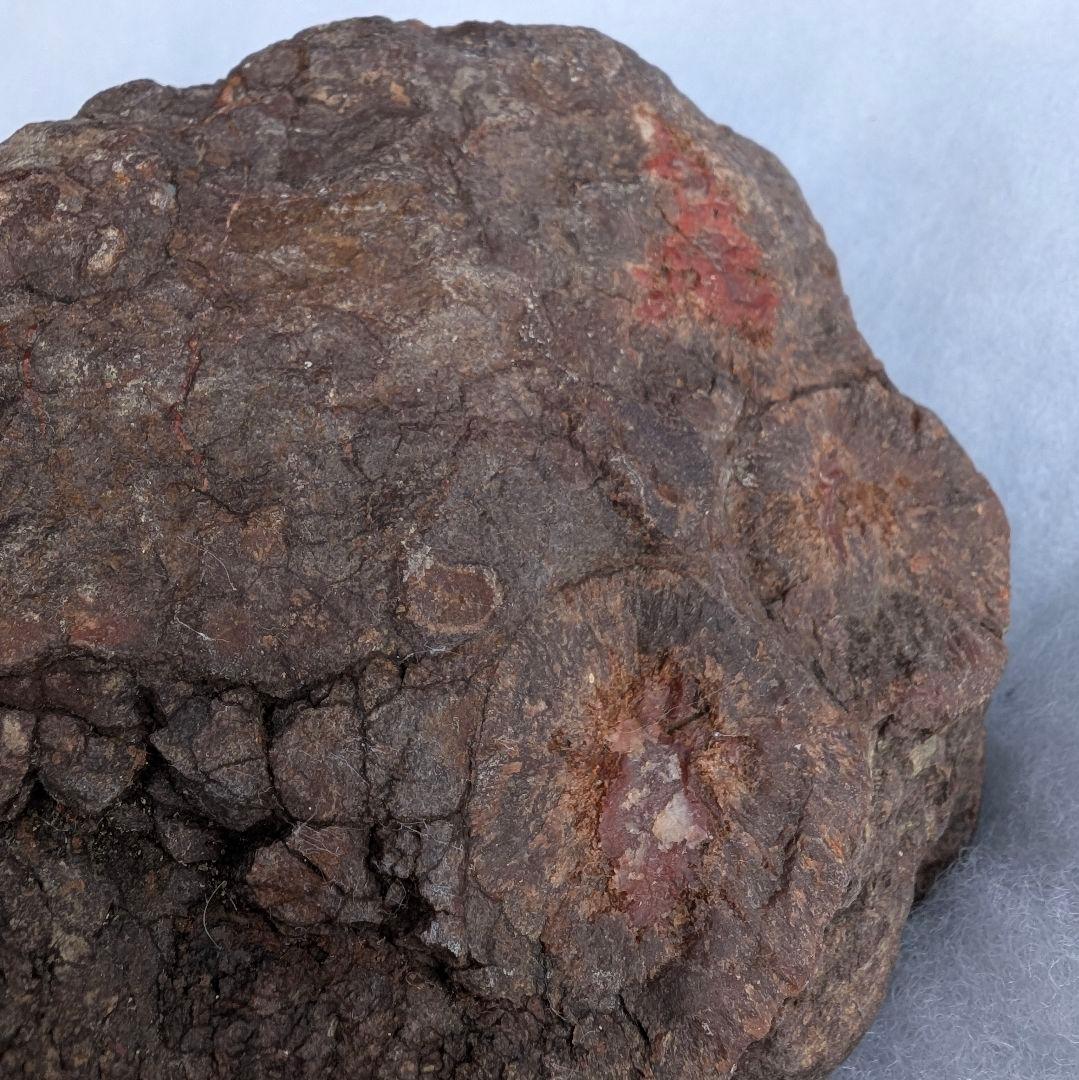 特大　本物　大型肉食恐竜の糞の化石　多彩　メノウ化　標本　1866グラム