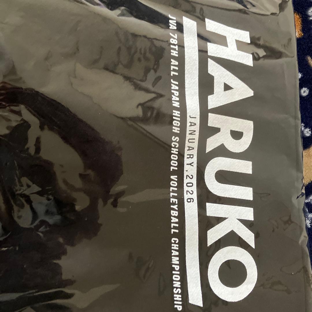 春高　スウェット　練習着　バレーボール　バボちゃん　アシックス　ミズノ　デサント