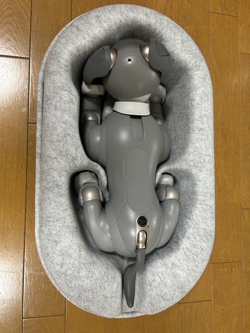 SONY aibo ERS-1000 2021年限定カラー 黒ごま　エディション