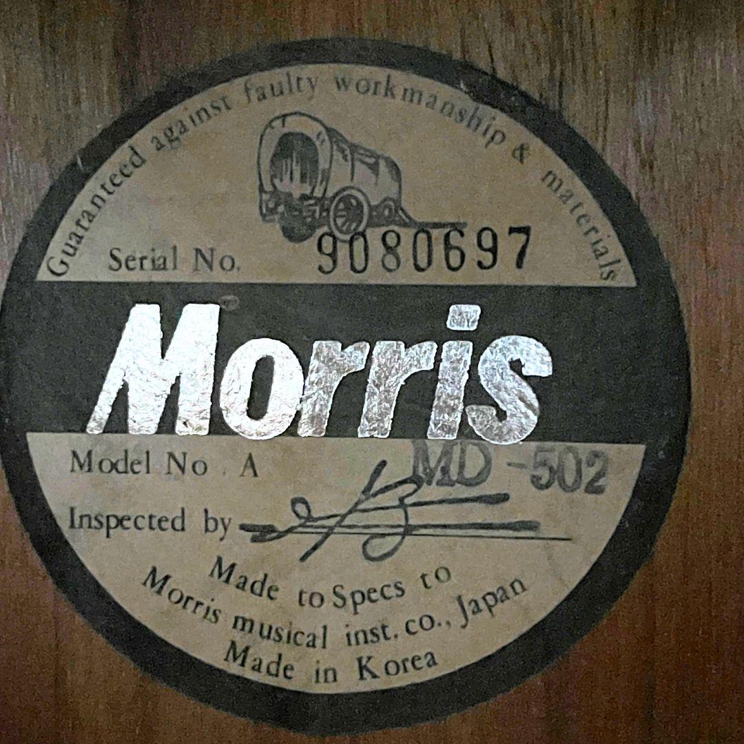 Morris MD~502 モーリス アコースティックギター