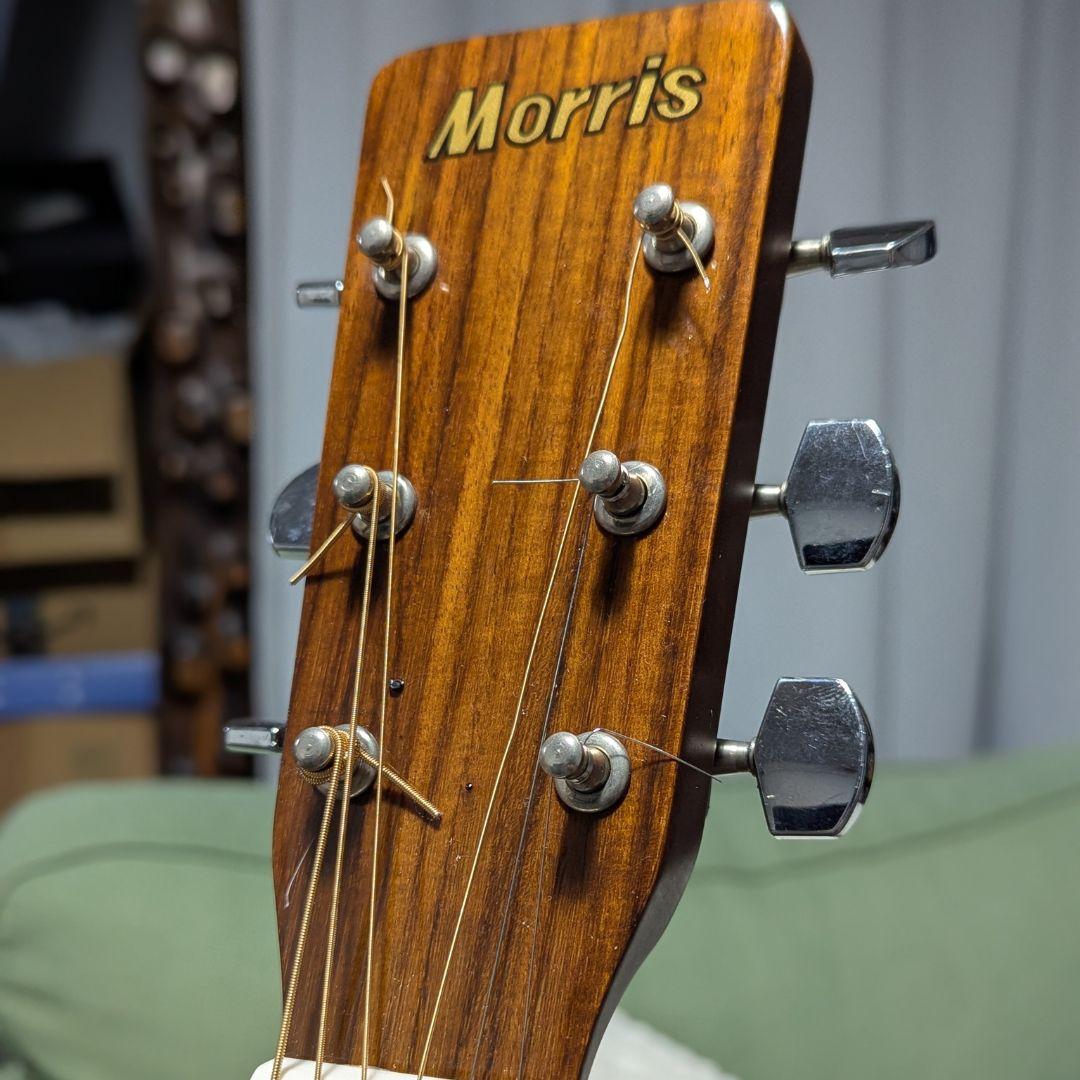 Morris MD~502 モーリス アコースティックギター
