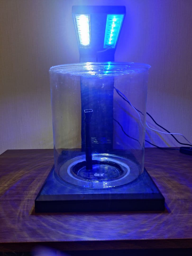 ペルコ 水槽　ブルーライト・蓋付き hiro11pm　他の方、購入禁止