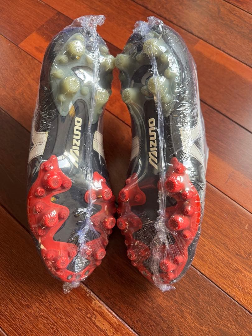 モレリアTM24.5cm