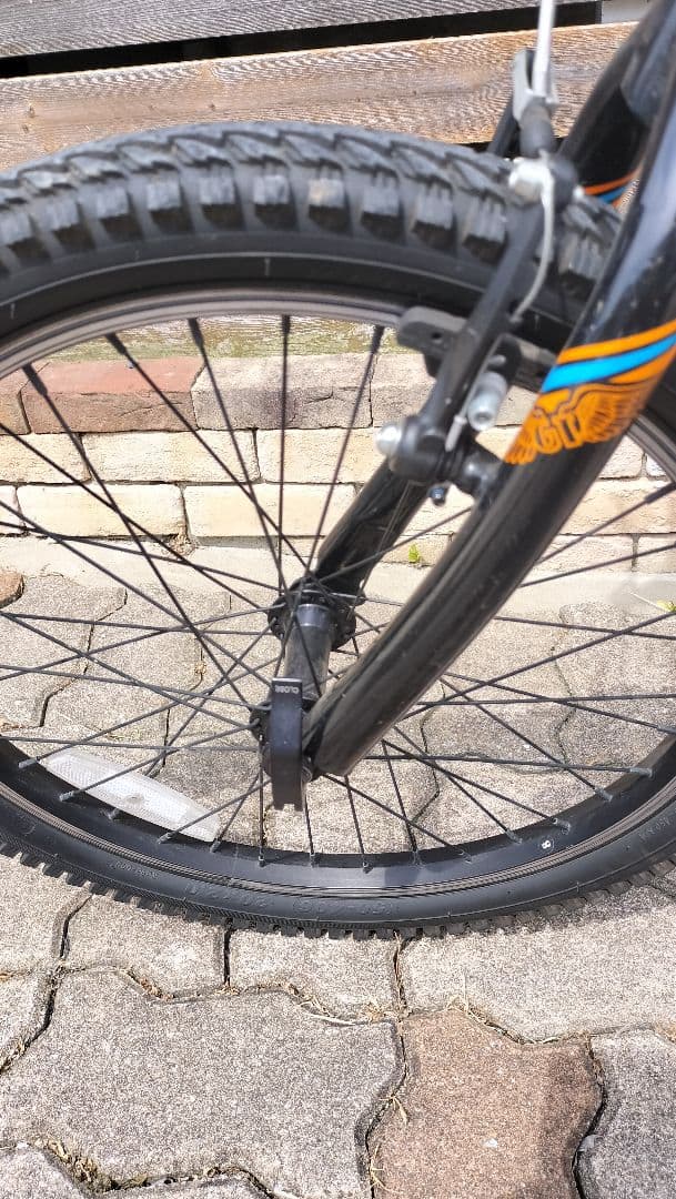 子供用 自転車 20インチ GTアグレッサー20 マウンテンバイク