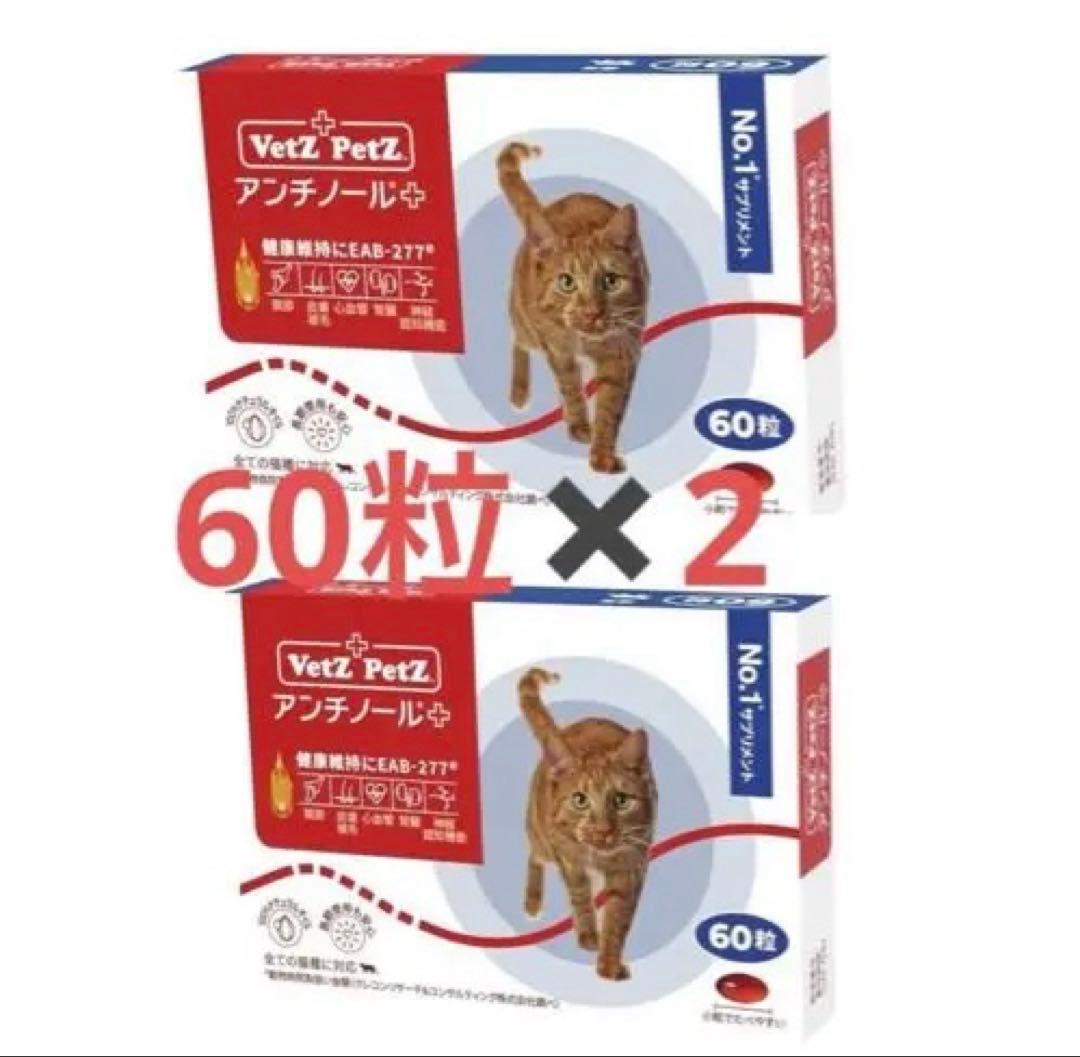 アンチノール プラス　60粒×2セット