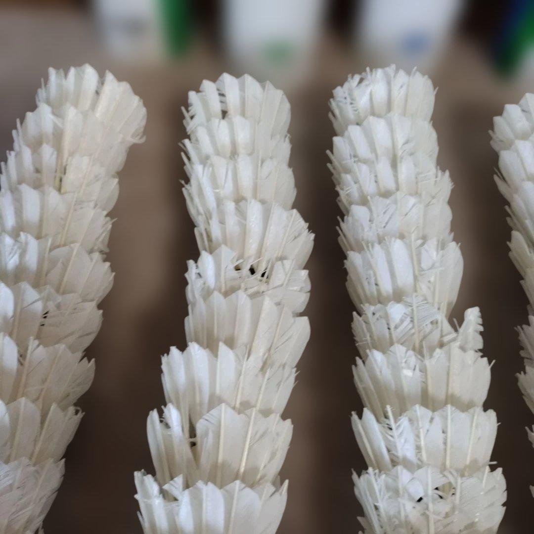 送料無料　yonex ノック用　シャトル　練習用　ヨネックス　基礎　400 5