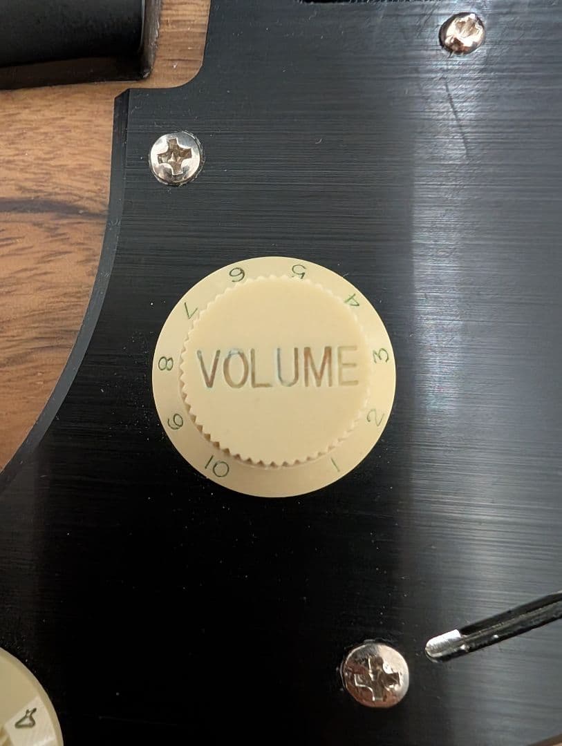 (最終値下げ)Schecter SVSS エレキギター•ハードケース付