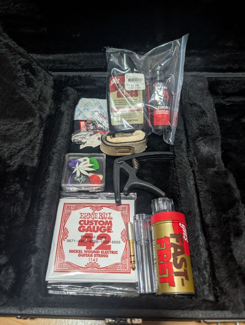 (最終値下げ)Schecter SVSS エレキギター•ハードケース付